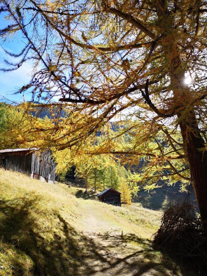 Chalet Le Тріент Екстер'єр фото