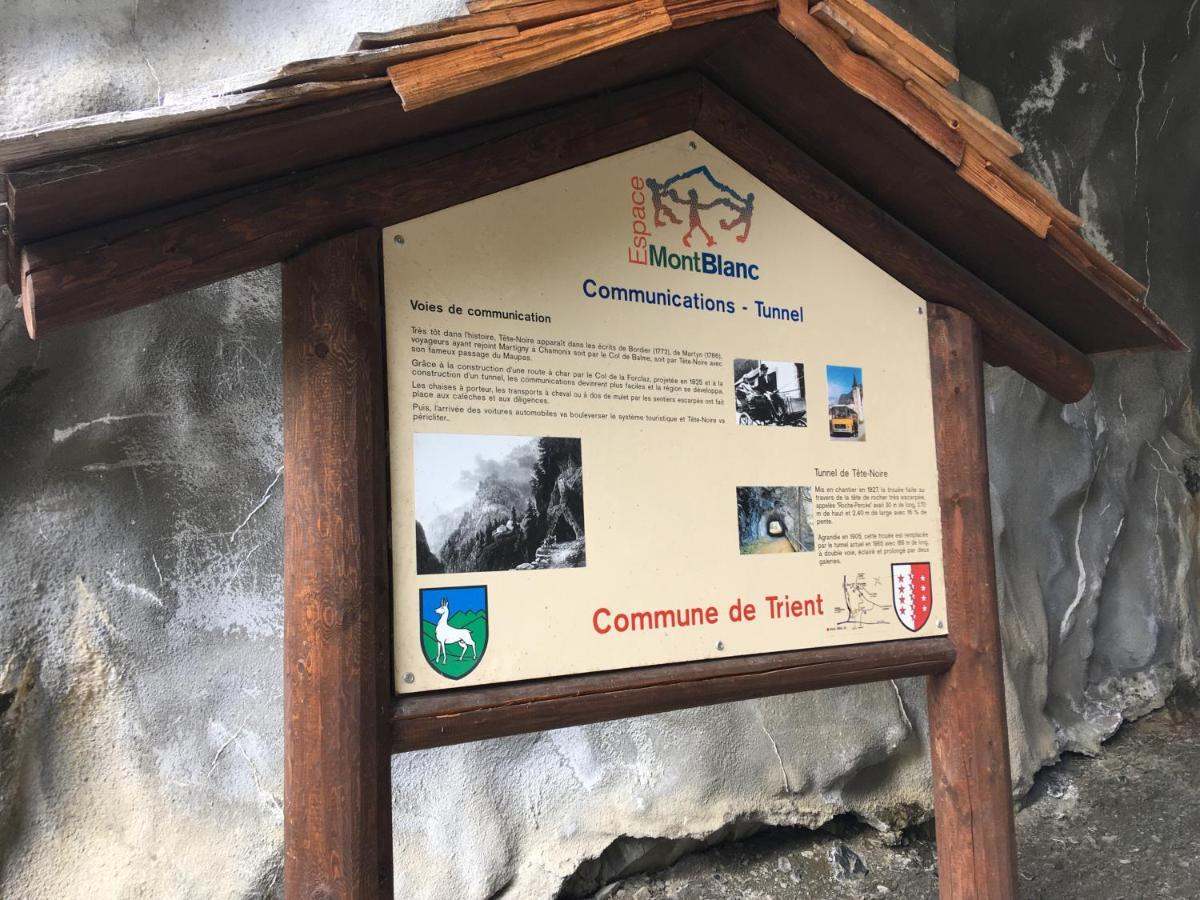 Chalet Le Тріент Екстер'єр фото